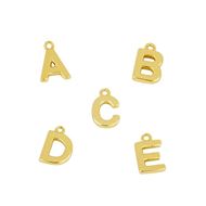 Imagen de Charm Shine Letter Plata Dorada