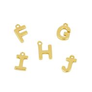 Imagen de Charm Shine Letter Plata Dorada