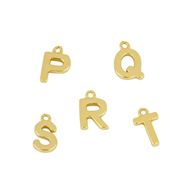 Imagen de Charm Shine Letter Plata Dorada