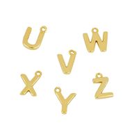 Imagen de Charm Shine Letter Plata Dorada