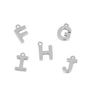 Imagen de Charm Shine Letter Plata