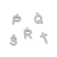 Imagen de Charm Shine Letter Plata